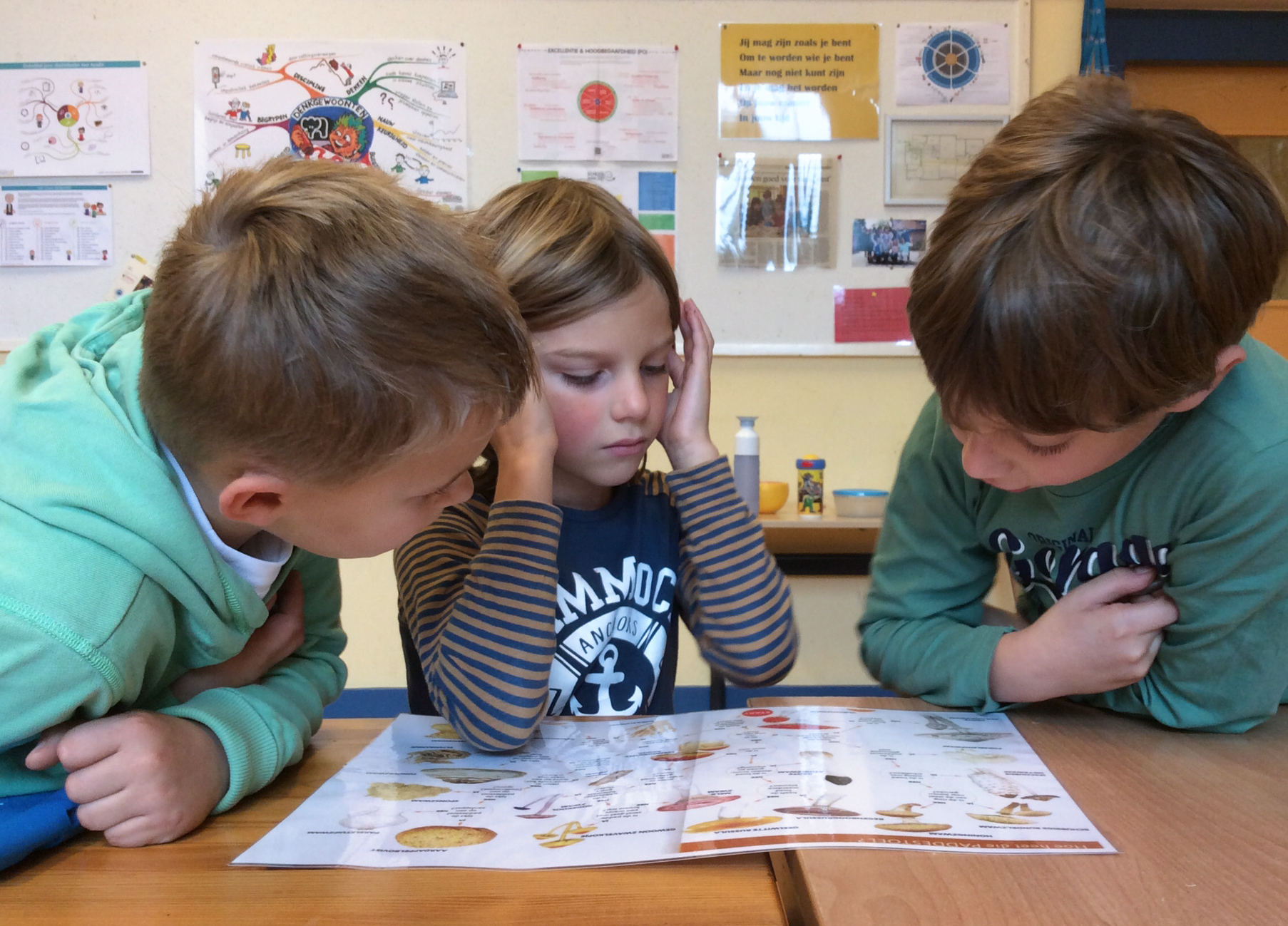 gerichtkijkennaarpaddenstoelenkaart c